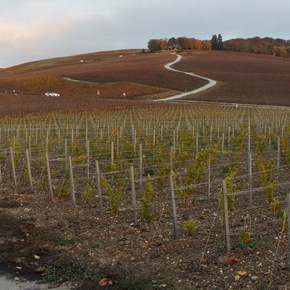 11/11/18 - Sparnatrail